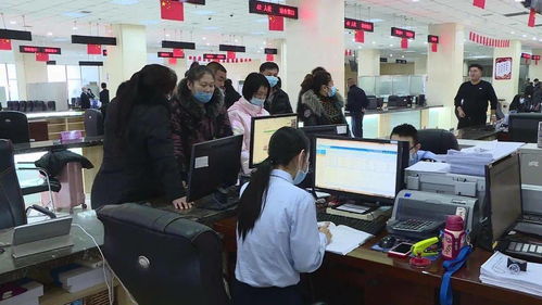 五大連池市政務服務中心 以技能提升與信息技術咨詢優化便民服務